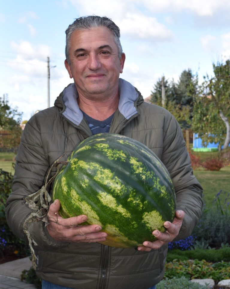 Didžiausias arbūzas Kėdainių rajone