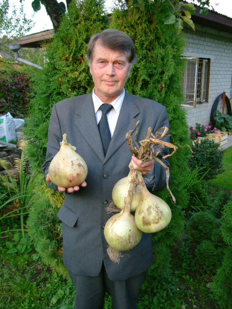 Didžiausias svogūnas Vilniuje