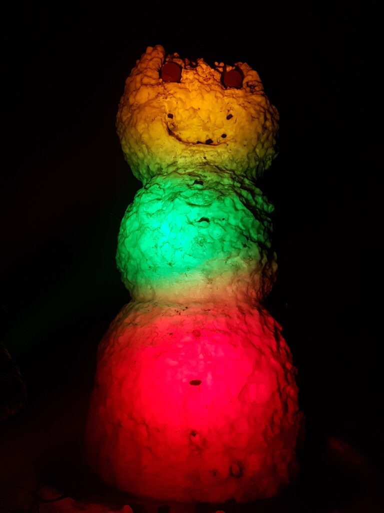 Aukščiausias senis besmegenis Vilniuje