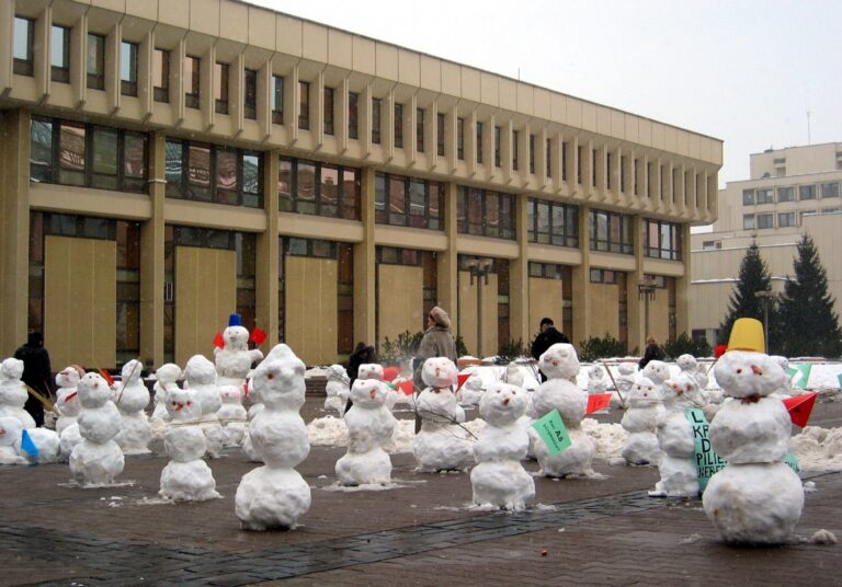 Daugiausia renginyje Vilniuje nulipdytų senių besmegenių